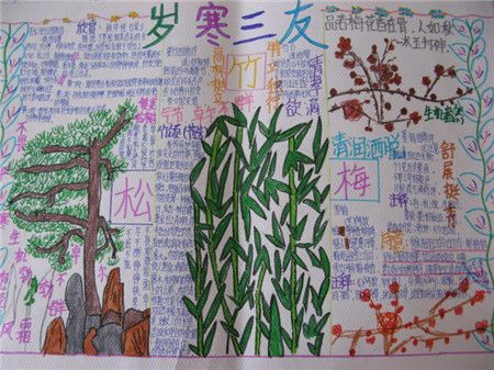 岁寒三友手抄报图片大全 岁寒三友手抄报图片大全