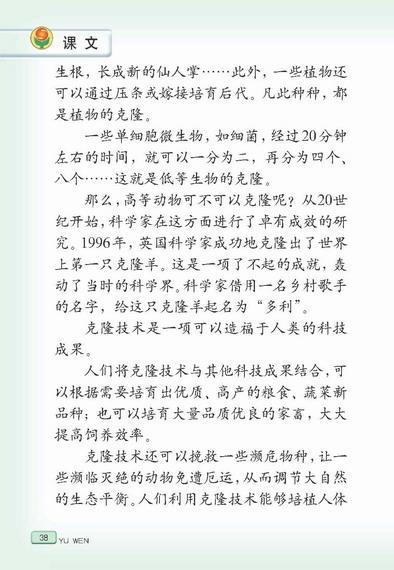 生物克隆技术手抄报 美术手抄报奇异的克隆牛手抄报 手抄报简单又好看