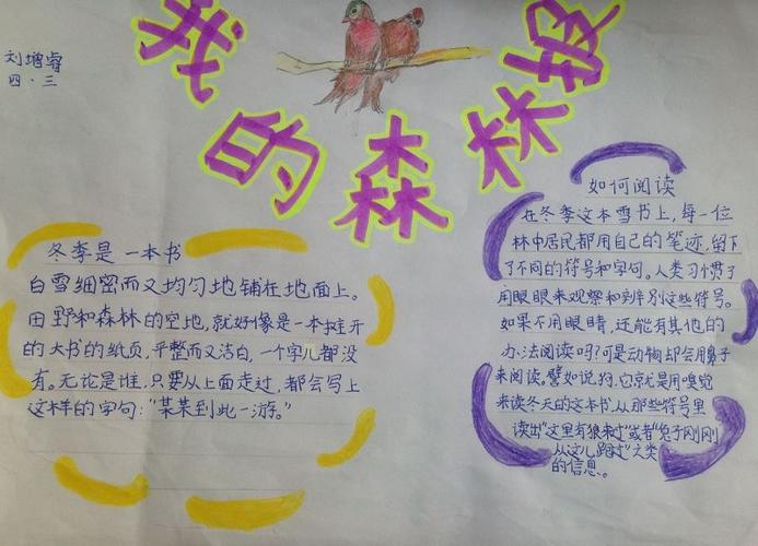 《森林报》手抄报图片大全