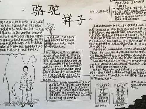 名著阅读 孩子们闪光的手抄报 《骆驼祥子》作业展示