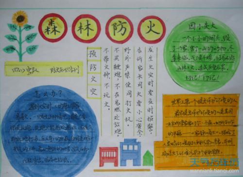 小学生严禁烟火手抄报小学生手抄报