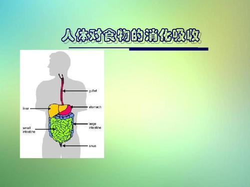 健康的饮食手抄报图片5.4人体对食物的消化和吸收 21张ppt