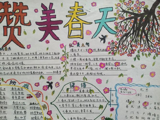 师宗县凤山小学2024年3月至6月学生手抄报创作评比活动