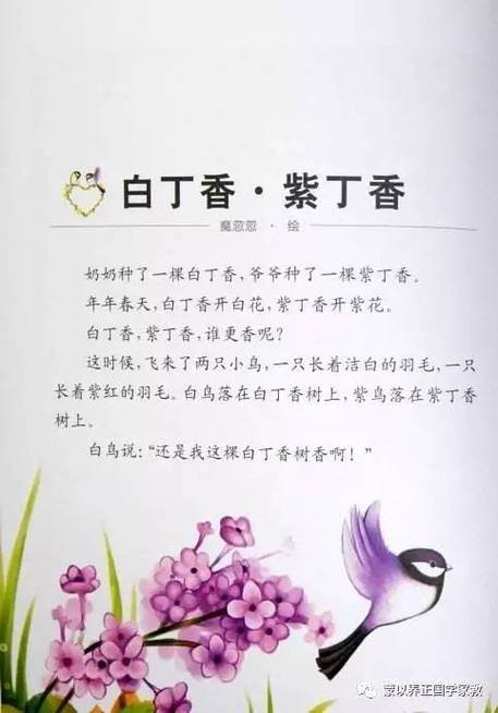 关于开满丁香花的手抄报花的手抄报