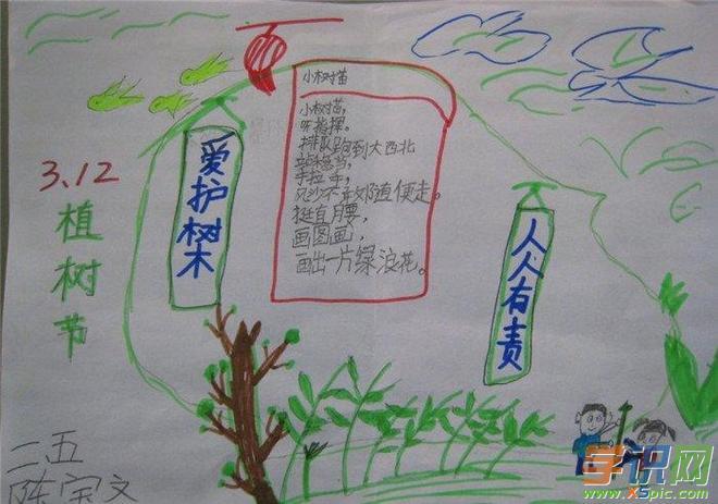 一年级植树护绿手抄报 2024植树节手抄报图片大全儿童画