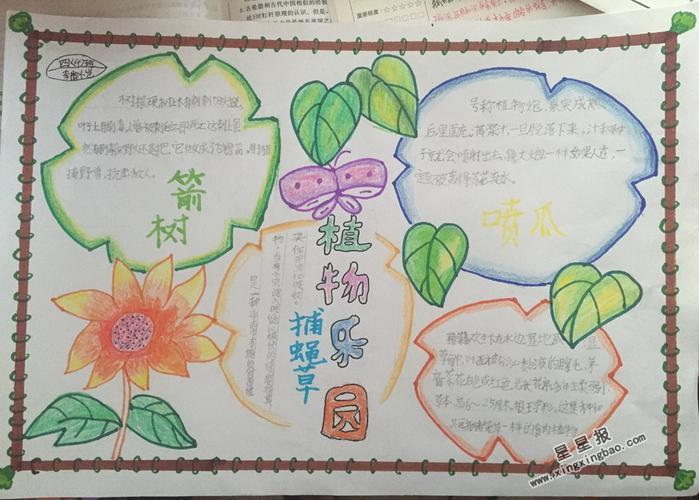 华南植物园小学手抄报植物园手抄报