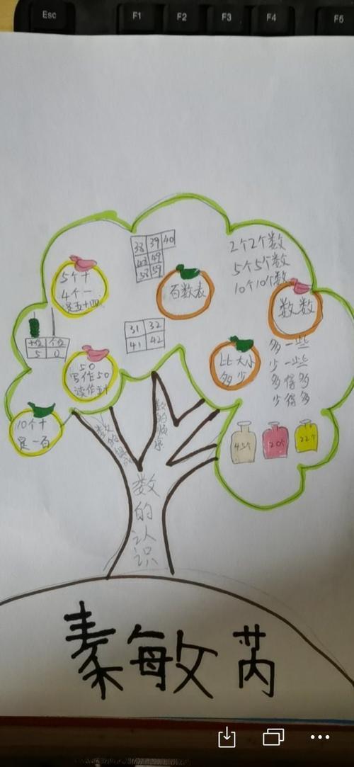 一年级上数学思维导图手抄报数学一年级手抄报