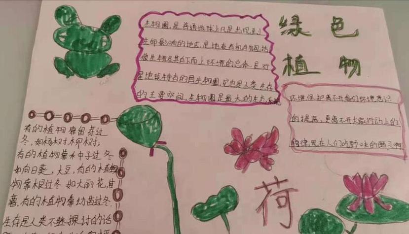 《生物圈中的绿色植物》三年级植物的手抄报三年级手抄报关于植物的手