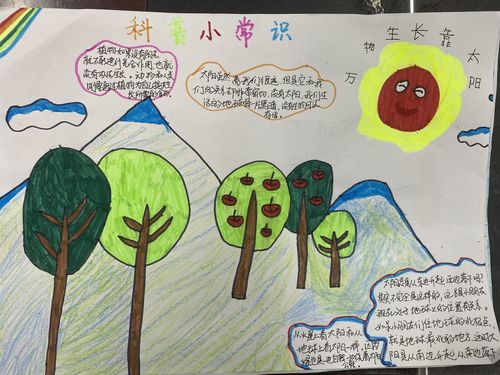 科普手抄报 一 5 班