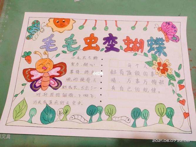 手抄报毛毛虫变蝴蝶