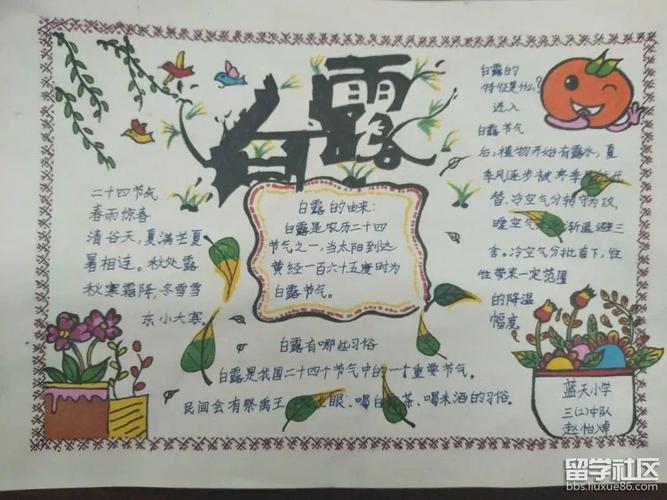 白露节气手抄报大全简单又漂亮2024